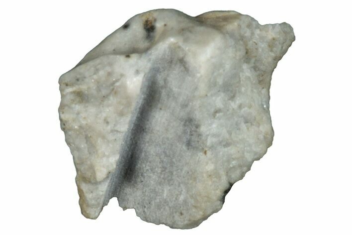 Aubrite Meteorite Fragment - Djoua #283674